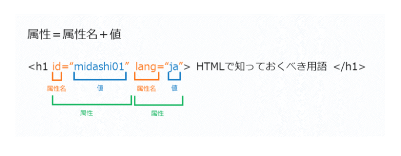 HTMLで欠かせない専門用語　属性