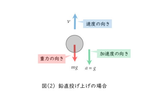 鉛直投げ上げの図